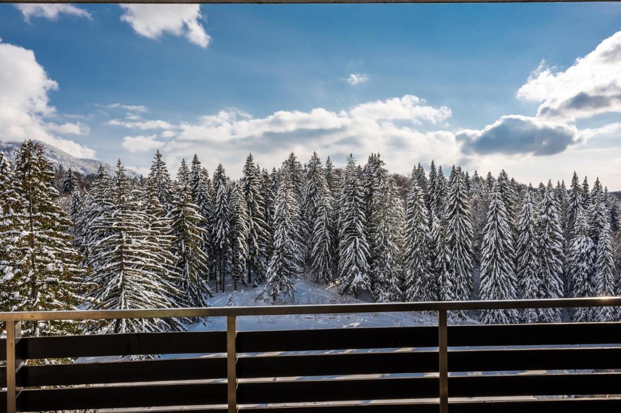 Silver Mountain - Ana'S Apartments โปยานาบราซอฟ ภายนอก รูปภาพ