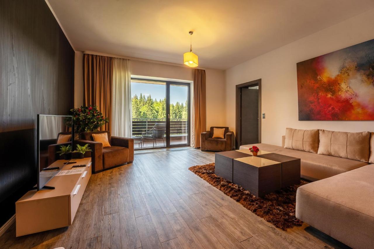 Silver Mountain - Ana'S Apartments โปยานาบราซอฟ ภายนอก รูปภาพ